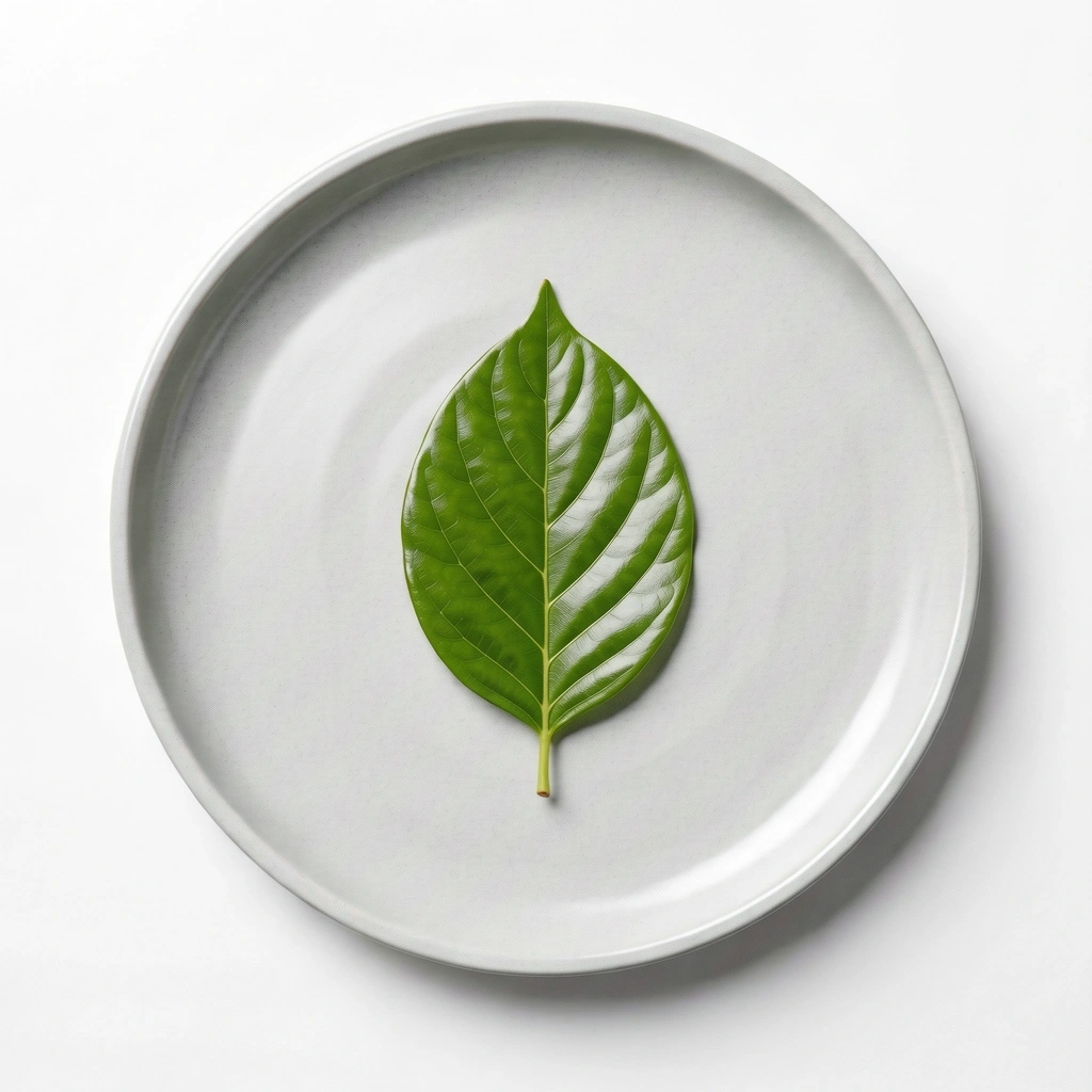 Egyetlen levél egy kerámia tányéron - a minimalizmus és a táplálkozás szimbóluma